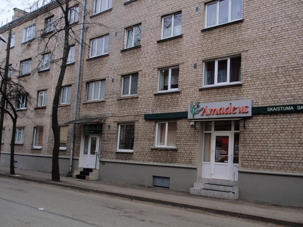 Central Cietoksna Street Apartment Даугавпилс Екстериор снимка